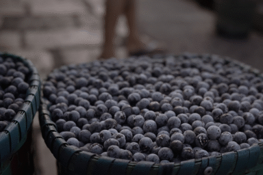 Benefícios do açaí