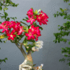 Rosa do deserto