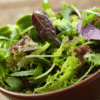 Salada de folhas verdes