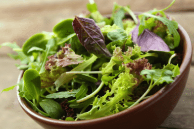 Salada de folhas verdes