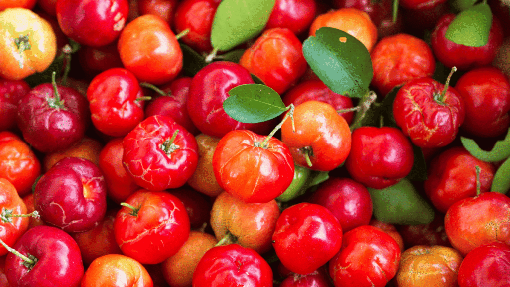 Acerola