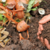 Como fazer compostagem