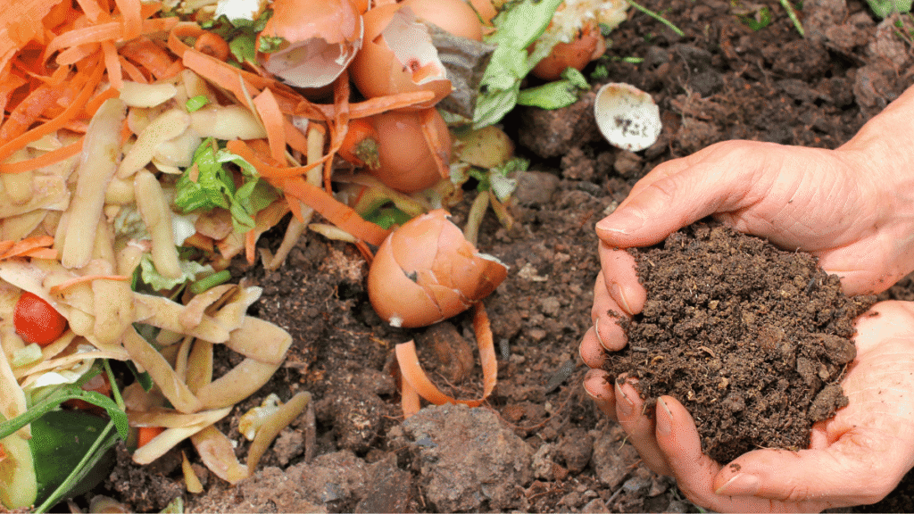 Como fazer compostagem: transforme restos de comida em vida Como fazer compostagem