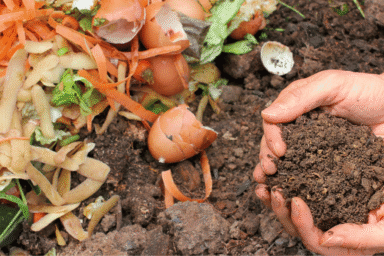 Como fazer compostagem