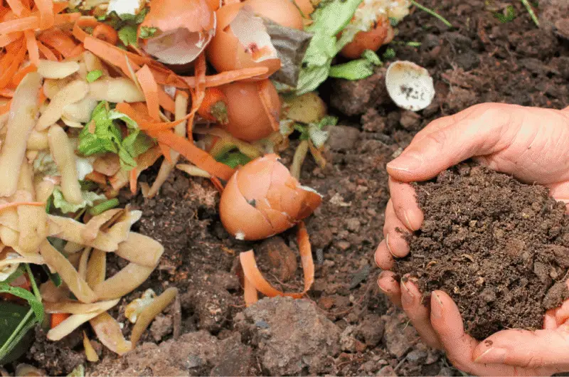 Como fazer compostagem