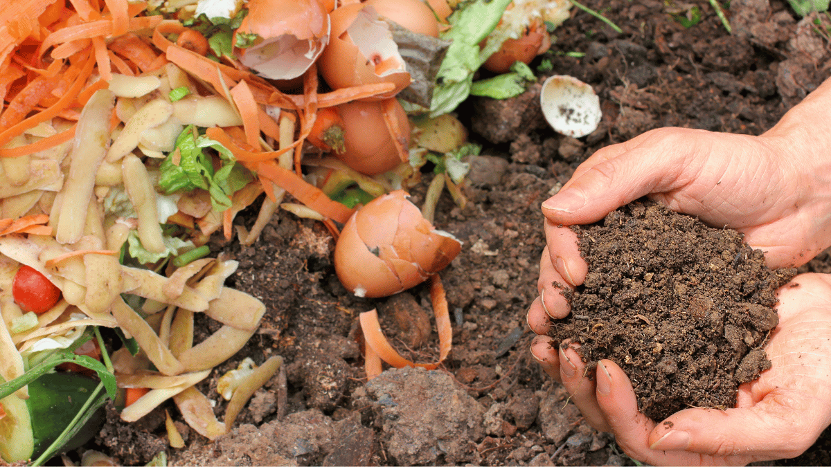 Como fazer compostagem