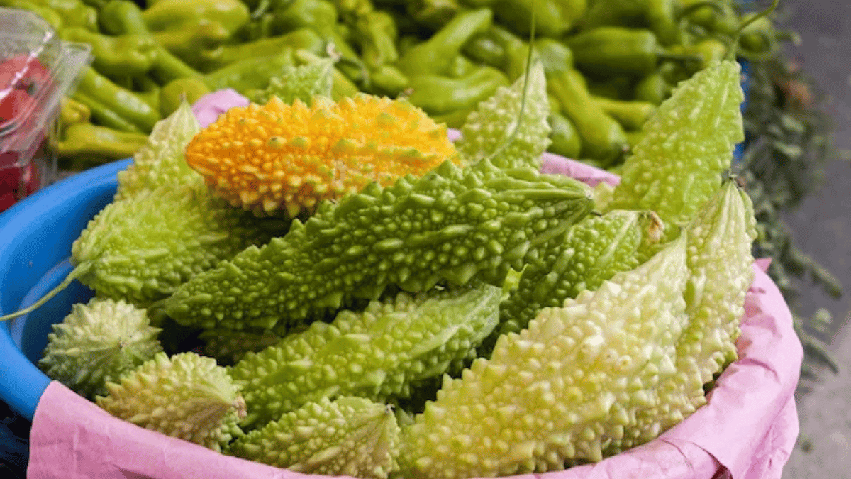 Melão de São Caetano