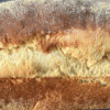 Pão Caseiro Colonial