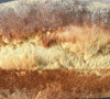 Pão Caseiro Colonial Fofinho: Receita Fácil com Sabor da Roça